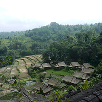 Photo de Bali - Baturiti